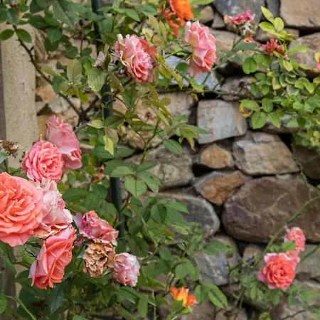 Casa Vince פיוריאני